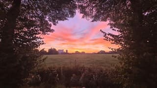 Zonsopkomst in Meeuwen