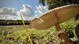 Bijna zomerse tempraturen.