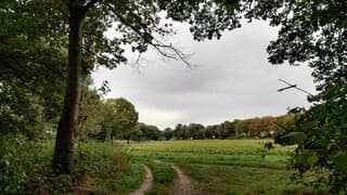 Doorkijkje-frisse bewolkte morgen.