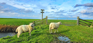 Zeedijk,Marrum 