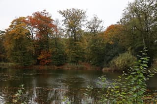 Mooie herfstkleuren bij de bron in het Springendal