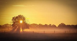 Zonneharp in de vroege uurtjes 