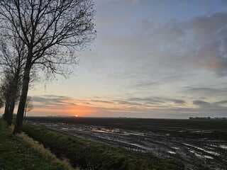 Zon boven de polder