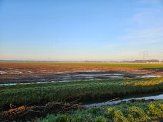 Mijnsheerenland