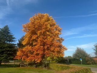 mooi in de zon vandaag 