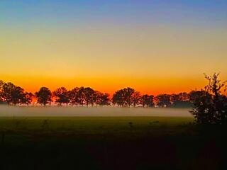 Mist en zonsondergang