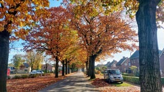 Mooie zonnige herfstdag