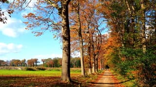 De paden op, de lanen in...