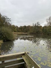 Druilerig weer in Hoogeveen 