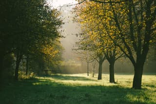 Herfst in Zuid-Limburg