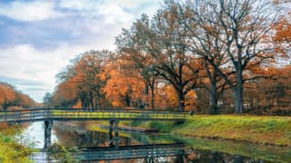 Prachtige herfstdag.