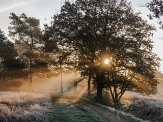Prachtige start van de dag!