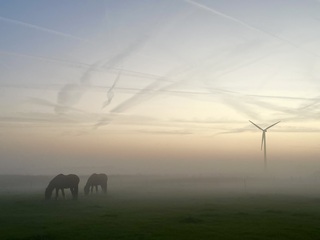 Sam en Jerom bij een mistige zonsondergang