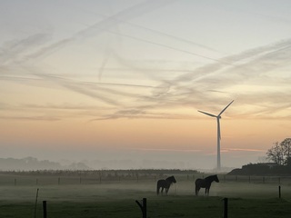 Beginnende mist bij zonsondergang
