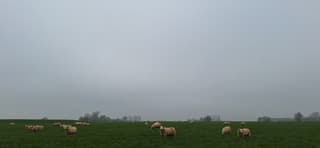 Grijs weer in de provincie Groningen vanmorgen 