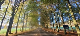 Heerlijk hetfstzonnetje 