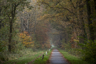 mooie grauwe herfstdag 