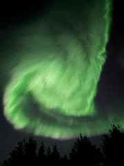 Noorderlicht 09-11-2024