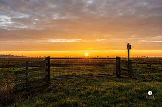 zonsopkomst friesland