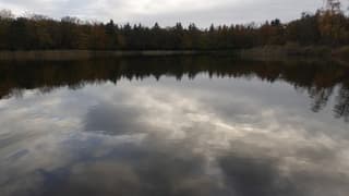 Net genoeg licht boven de Amazonevijver