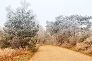 Zandpand Hoog Soeren