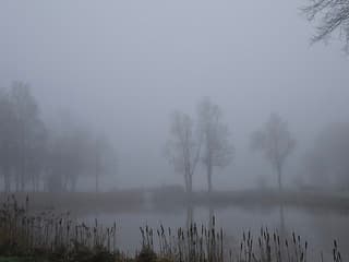 Mist en kou in Nieuw Weerdinge