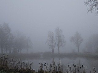 Mist en kou in Nieuw Weerdinge