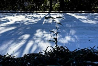 Witte wegen in het zuidelijke Atlanta bij -10