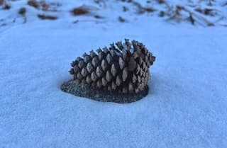 Winter in America is cold… -10 om precies te zijn