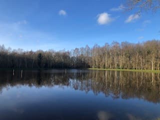 Zondagse wandeling