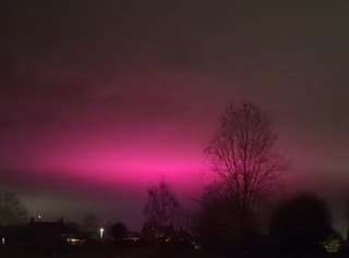 Roze lucht van de kassen