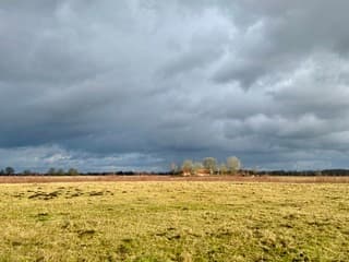 De zon schijnt mooi op de bomen