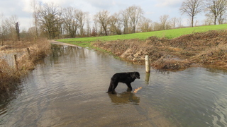 Hoog water in het roerdal