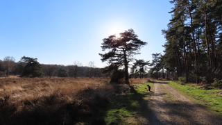 Een stralende dag op NP de Meinweg