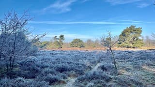 Winters plaatje in Drenthe.