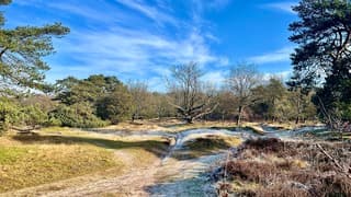 Prachtig wandelweer in Drenthe.