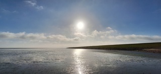 De zon schijnt over het drooggevallen wad van de Eems
