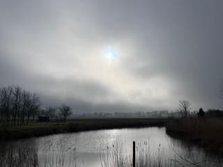 Flauw zonnetje