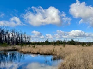 Dit willen we toch !