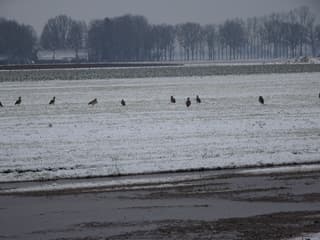 In de sneeuw.