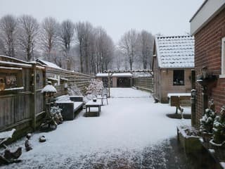 Sneeuw 