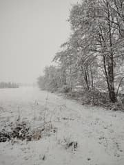 Sneeuw 