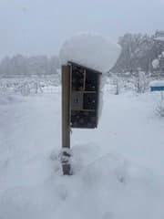 Bijenhotel in de sneeuw