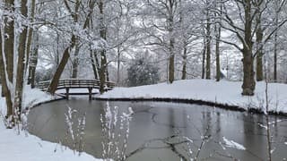 Notoaristuun Grootegast 