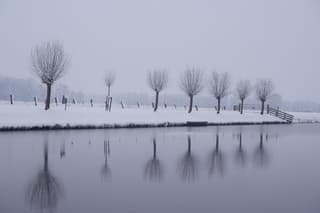 Haven Surhuisterveen 