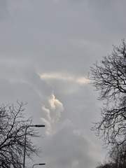 Zonnen Pareltje