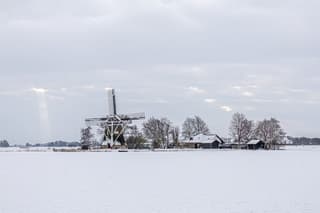 toch probeerde het zonnetje het...
