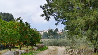 Uitzicht op het dorp 
