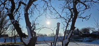 Sneeuw zon en een strak blauwe lucht vanmiddag 