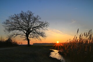 Zonsopkomst